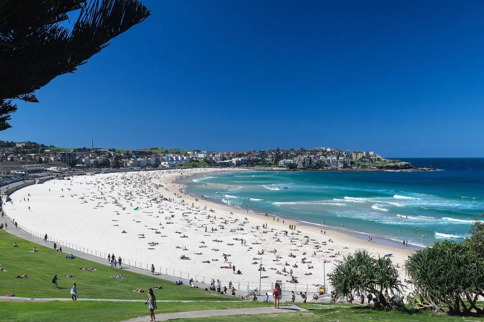 Bondi Eastern Suburbs private tour from Sydney