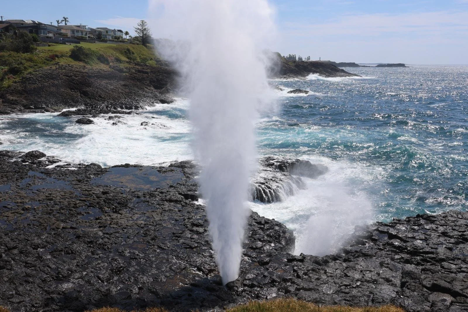 Kiama South Coast private tour from Sydney