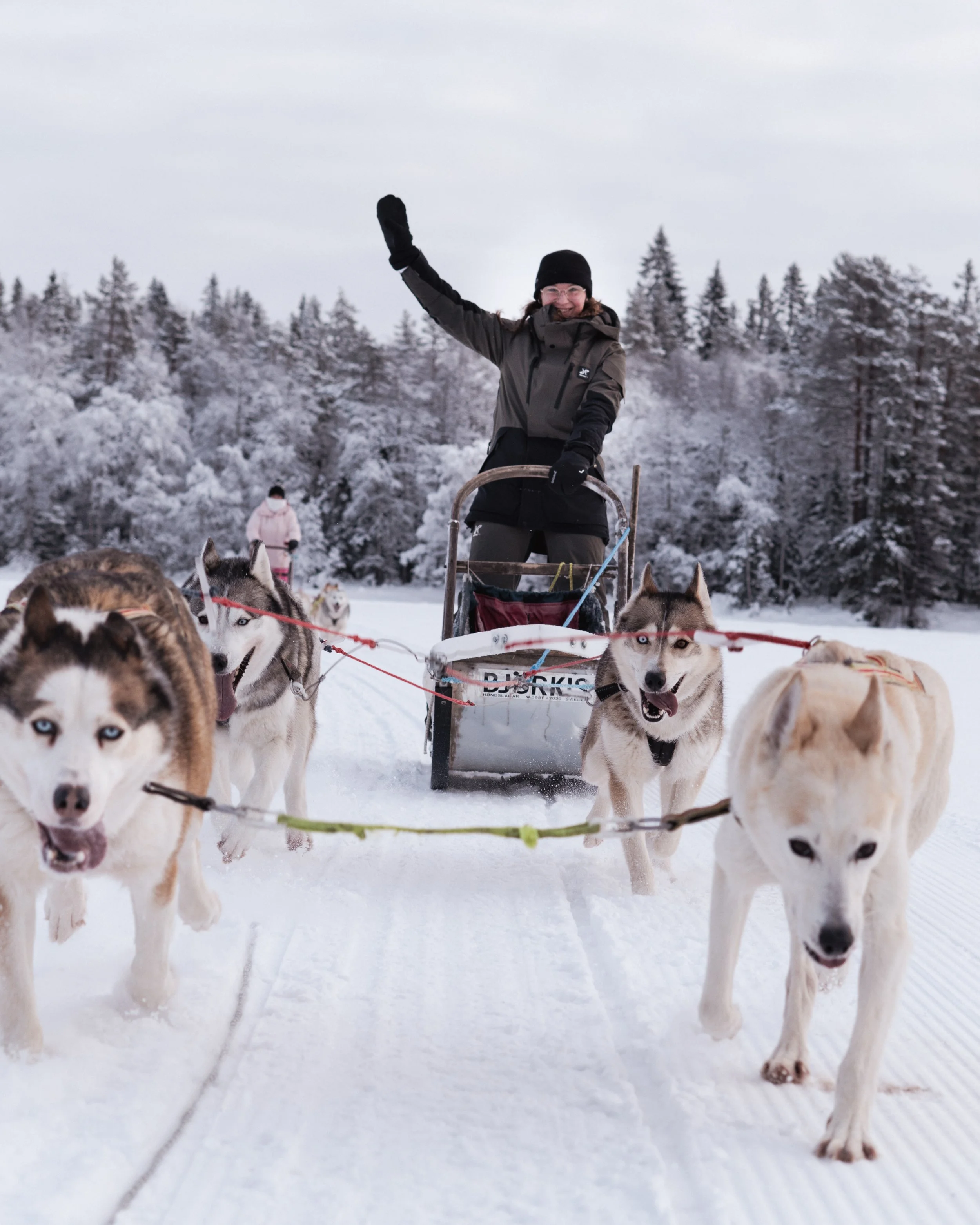 Musher's Life dog sledding adventure
