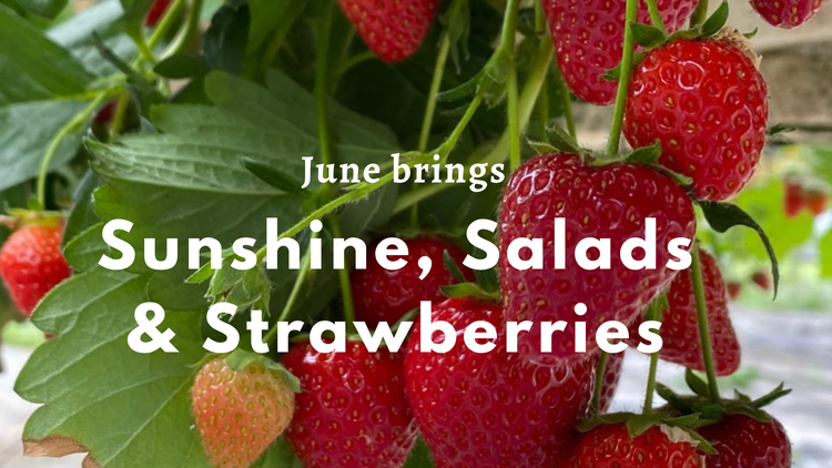 Strawberries that are in season and at peak ripeness are fruity, sweet, and juicy, with a little bit of acidity.

