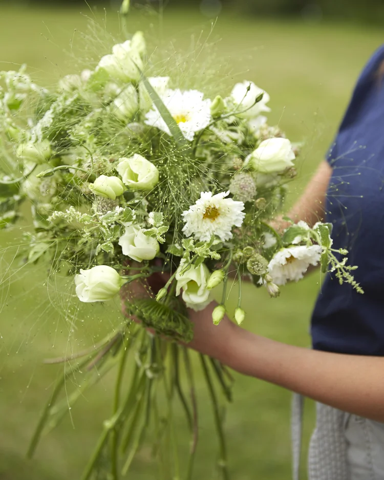 Treat yourself, or even better a loved one, with 1 or 2 seasonal hand ties delivered to the door each week.

