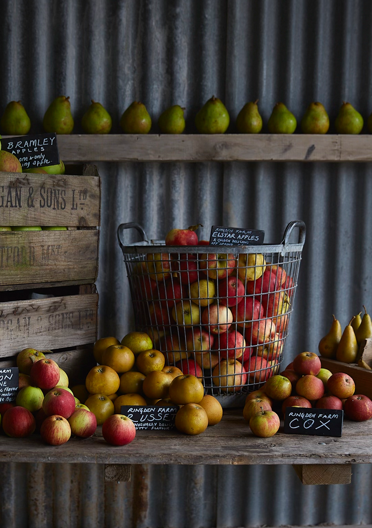 The delightful Ringden apples. A apple a day ...