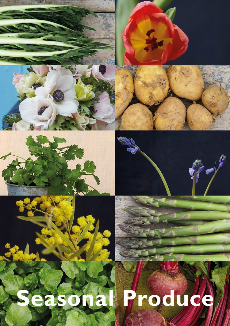 Seasonal flower subscriptions.