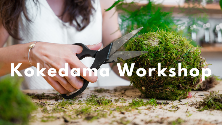 Kokedama Workshop