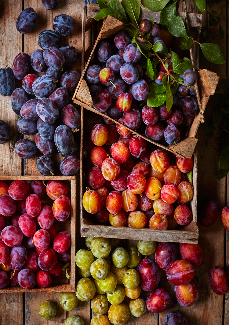 Abundance of plums by Stuart OVendedn