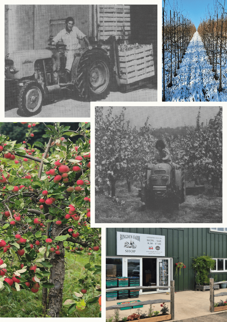 Ringden Farm apple Juice, established in 1963 is a family run business. They have an award-winning range of juices made from fruit grown, pressed and bottled in the heart of the Kent & The Sussex Weald.

They have an extensive range of English apple 