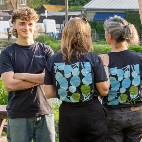 Kingfishers Organic Blue Cotton T's