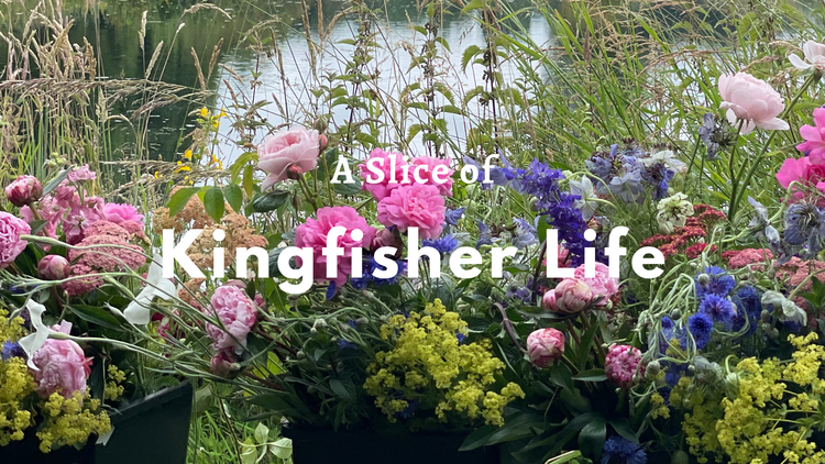 British Flowers awaiting by the pond,  for the keen attendees of the Hand Tie Workshop