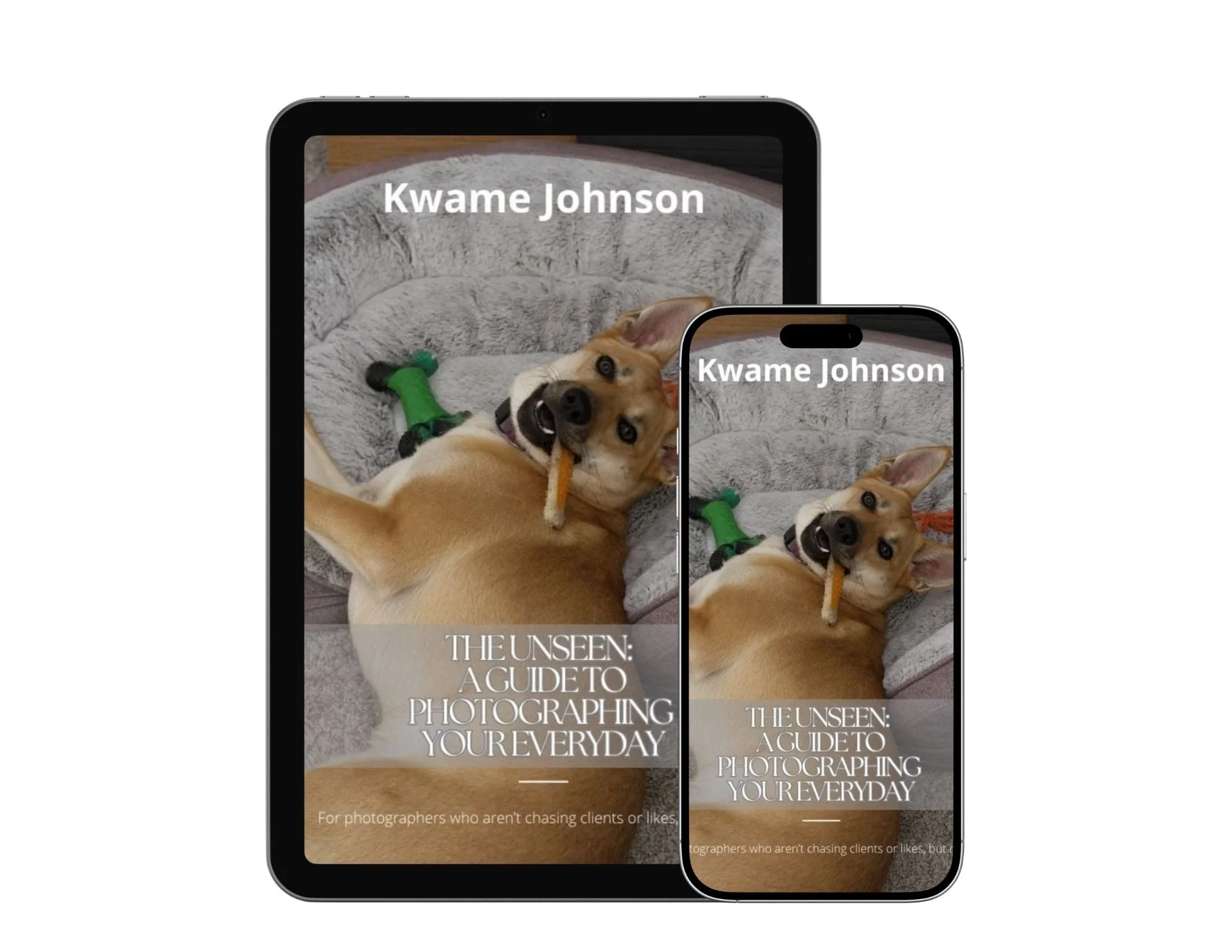 The Unseen on tablet and phone