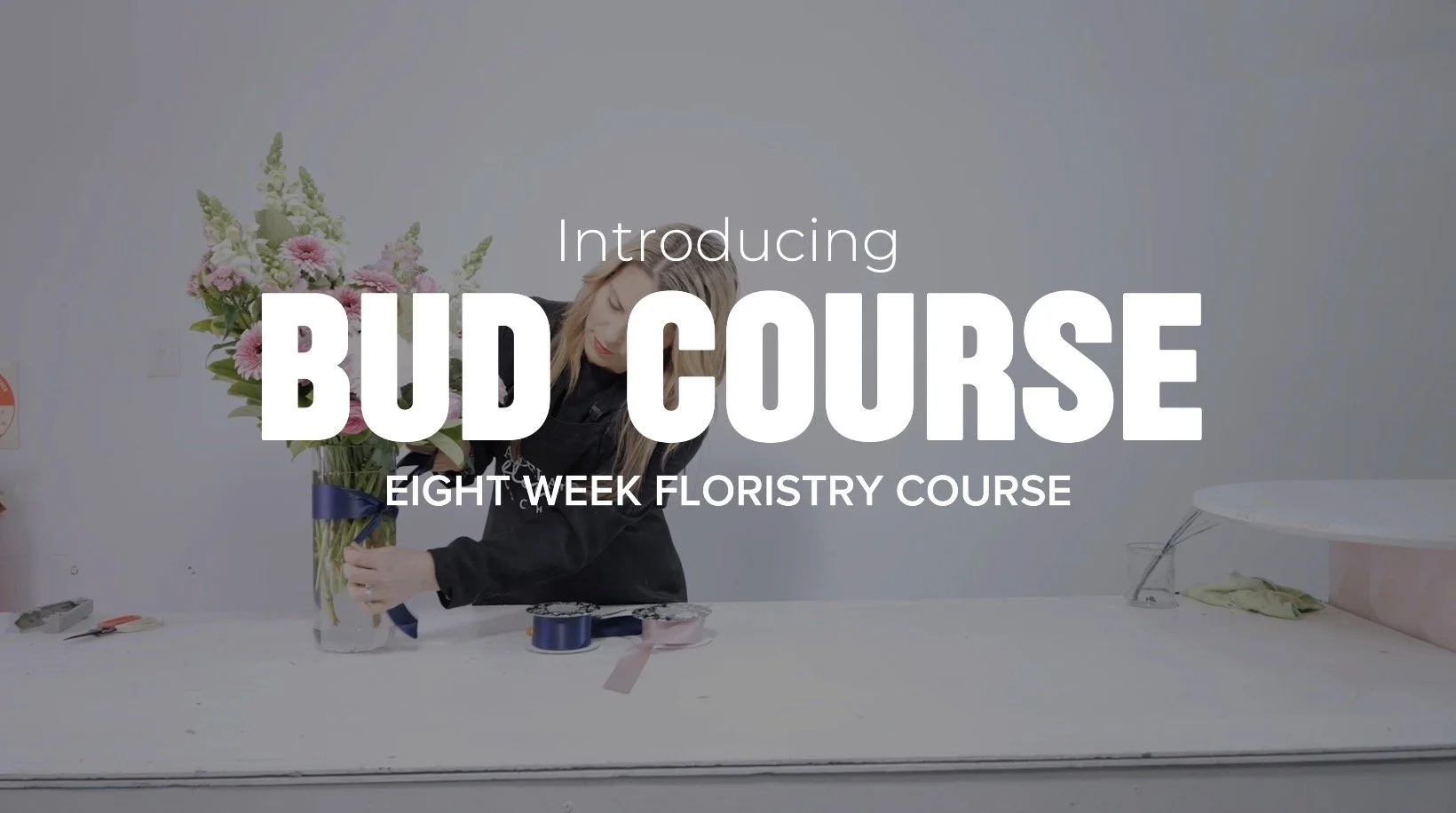 Bud Advanced Online promo video thumbnail