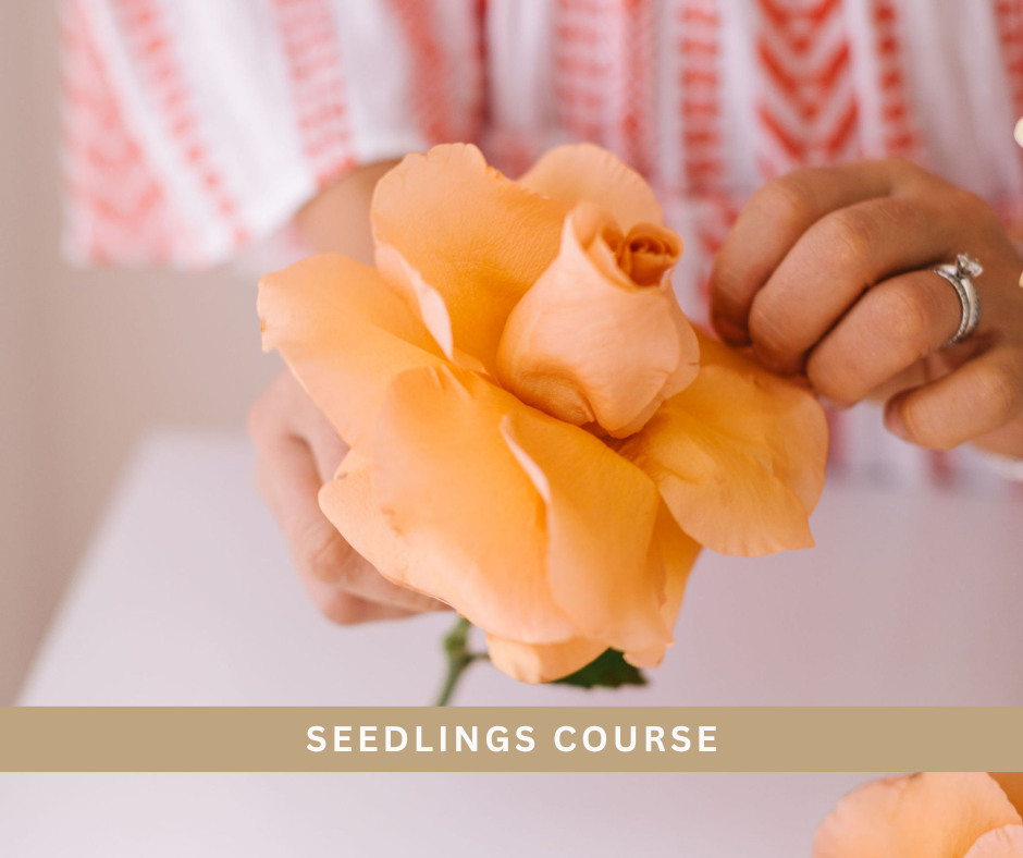 Seedling 2027 - 6 Week Course