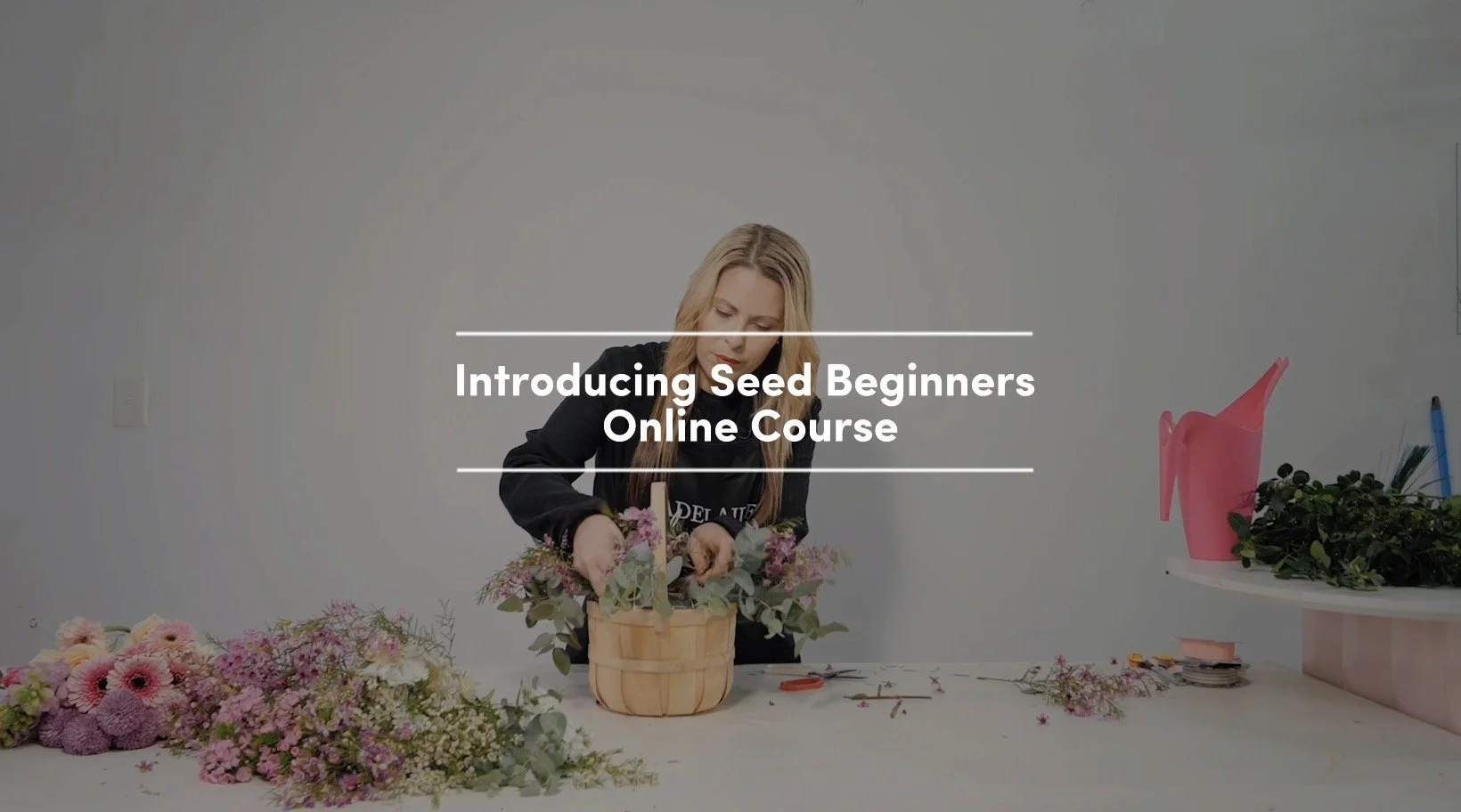 Introducing Seed Beginners Online Course