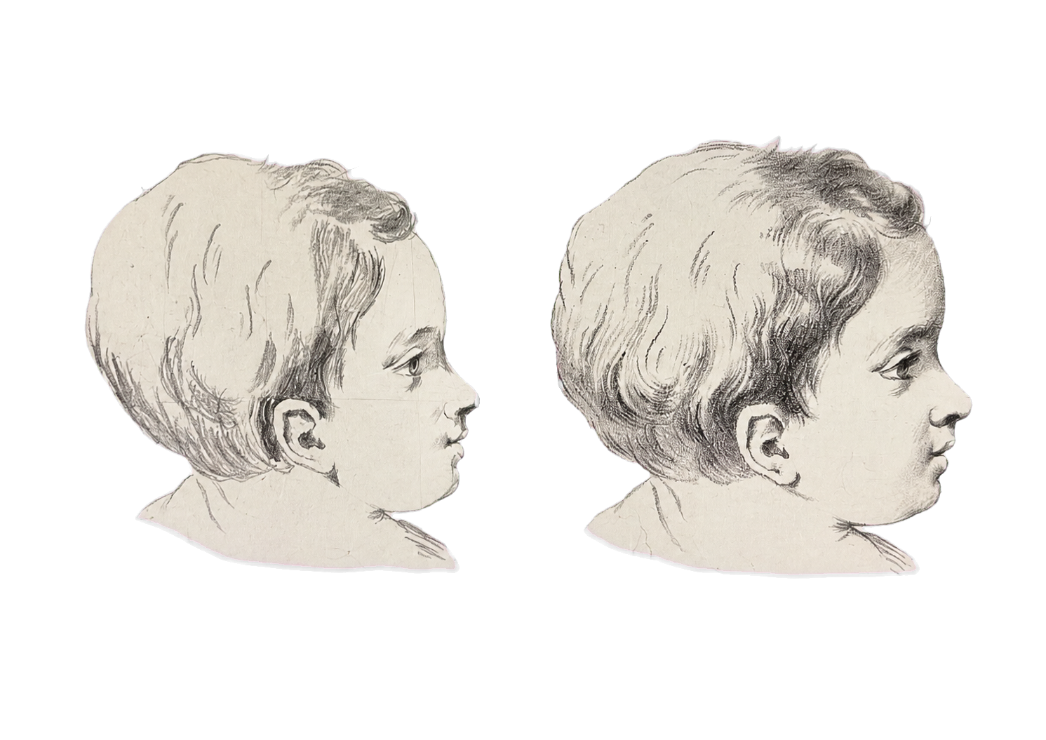 Two Child Profile Studies by Artist unknown