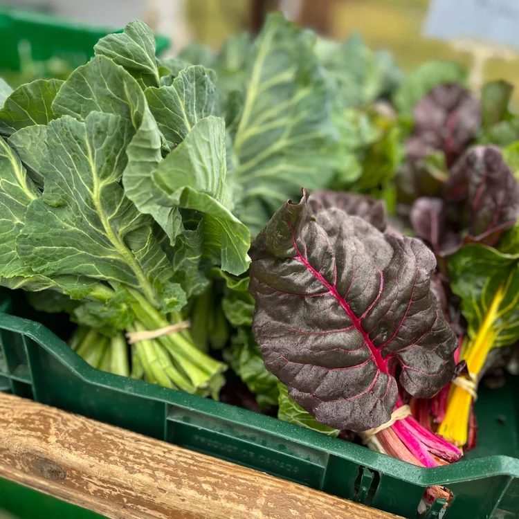 Singing Earth Produce