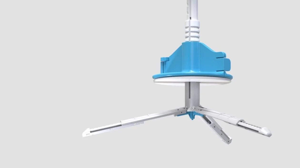 IARP 5