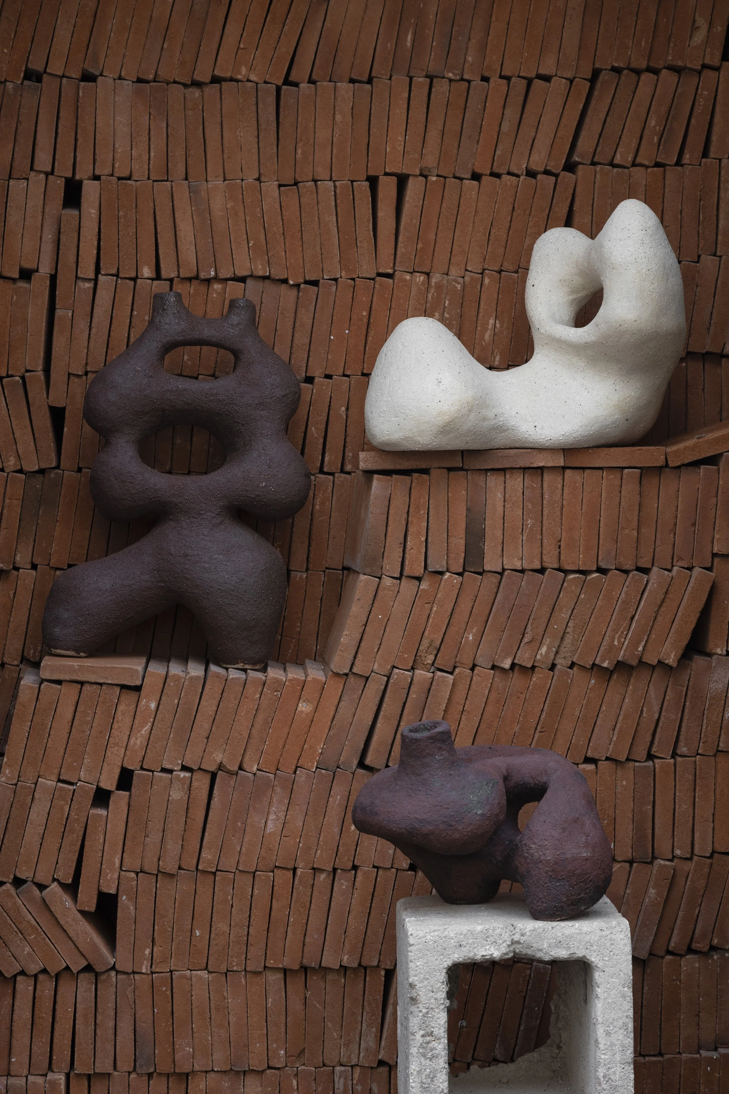 Wild Clay Detail 3