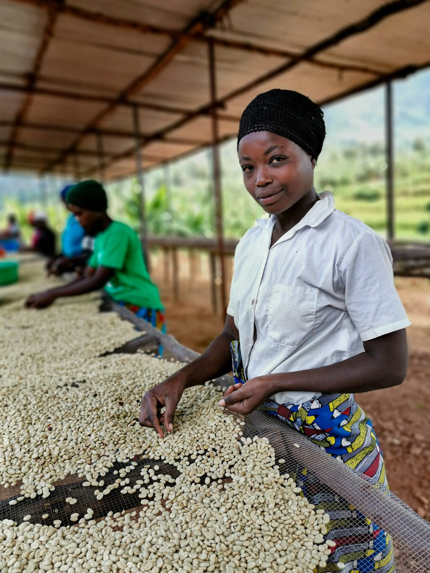 Placeholder photo — woman sorting coffee beans