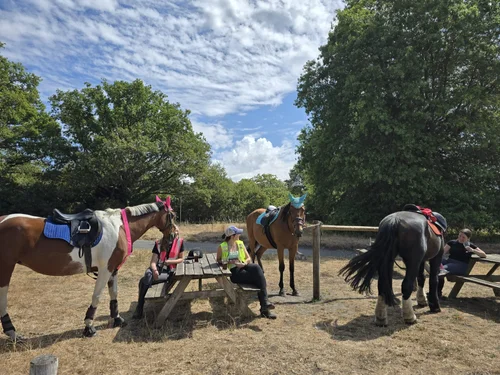 Riders and their horses stopping for a drink at the picnic benches