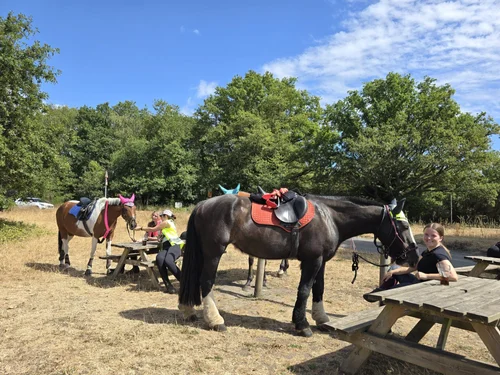 Horses tied up by the picnic benches while their riders relax in the sun