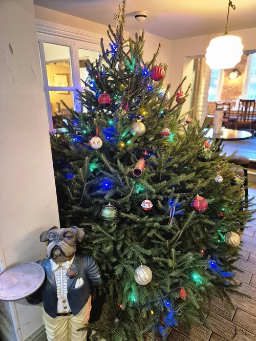 The Christmas tree in the pub