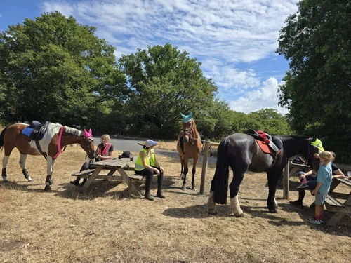 A riding group taking a break with their horses on the green