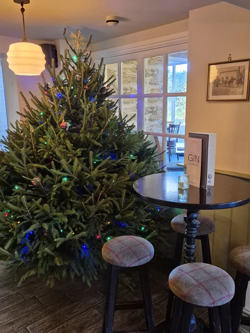A Christmas tree in the dining room