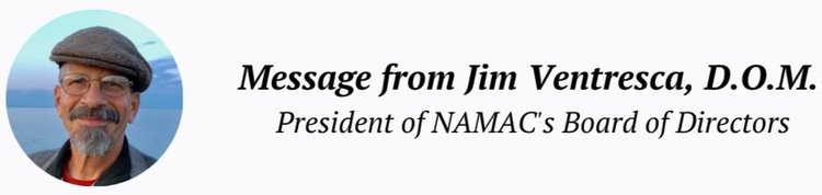 Message from Dr Lisa Cavallaro, Executive Director