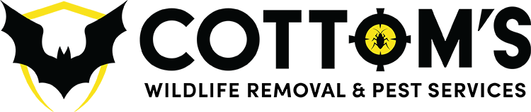 Cottom's logo