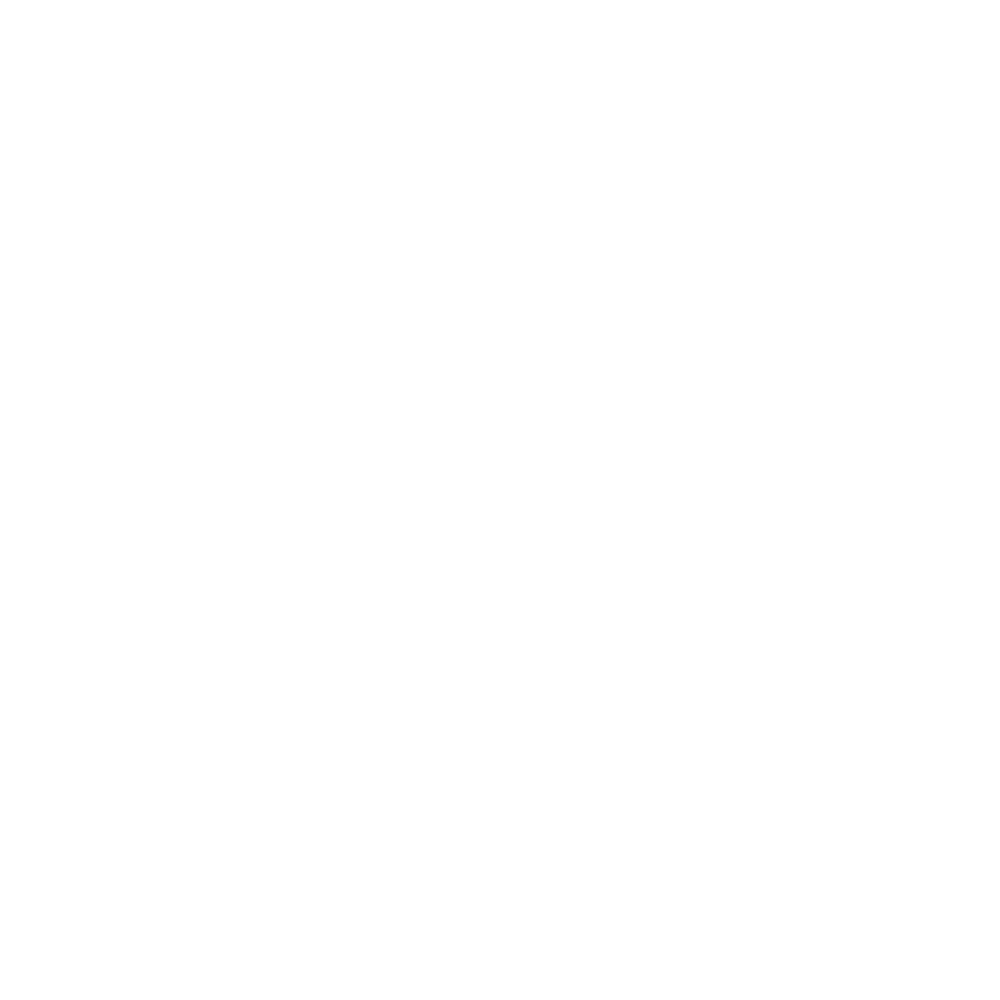 Shopify Partner