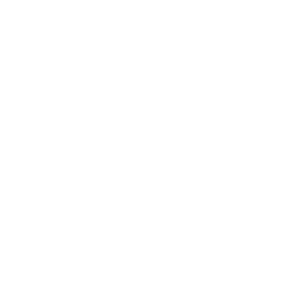 Meta Partner