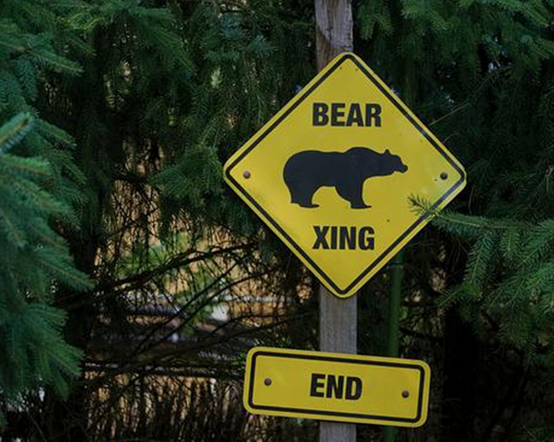 Steamboat man shoots and kills bear who entered his downtown home