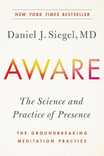 Dr. Daniel Siegel, MD — book cover
