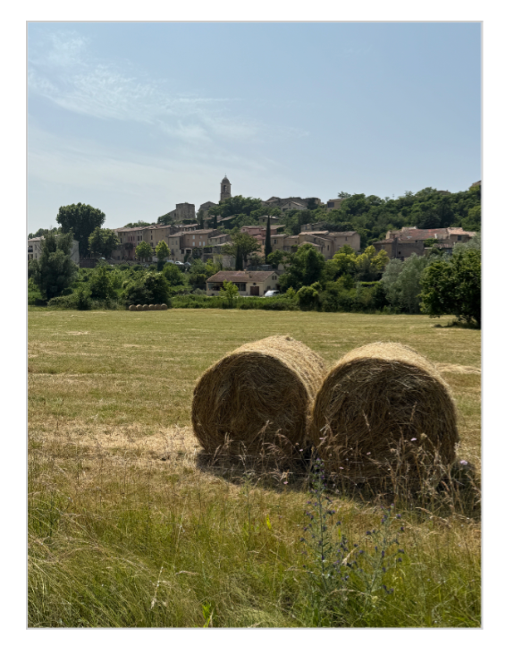 Hay bales original reference photo