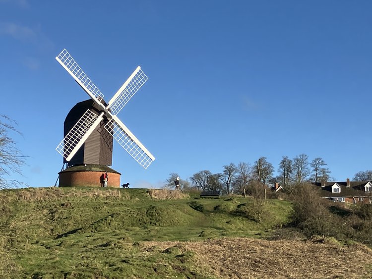 Photo of traditional windmill on top of a small grassy hill. The windmill has four white sails. there are houses and tall winter trees in the background with a clear blue sky.