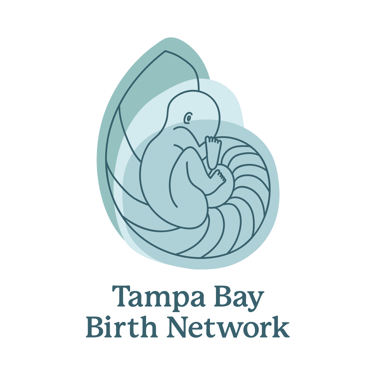 Tampa Bay Birth Network