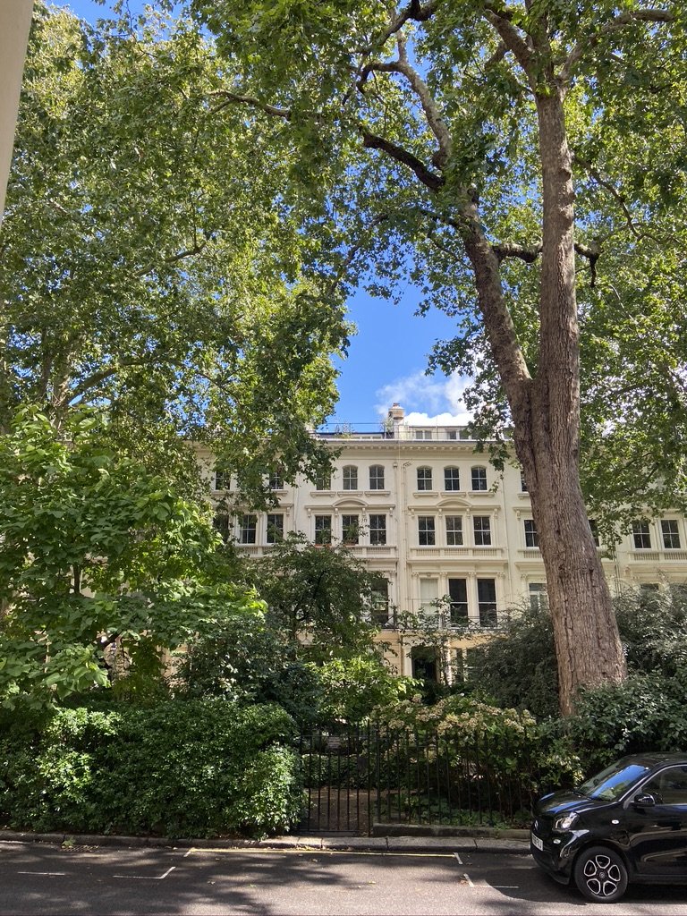 A stucco terrace behind plane trees on a London garden square