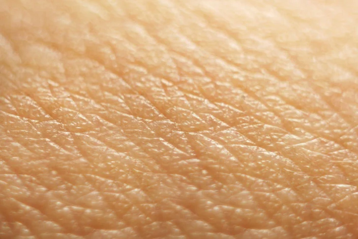 Close-up of skin texture in natural light