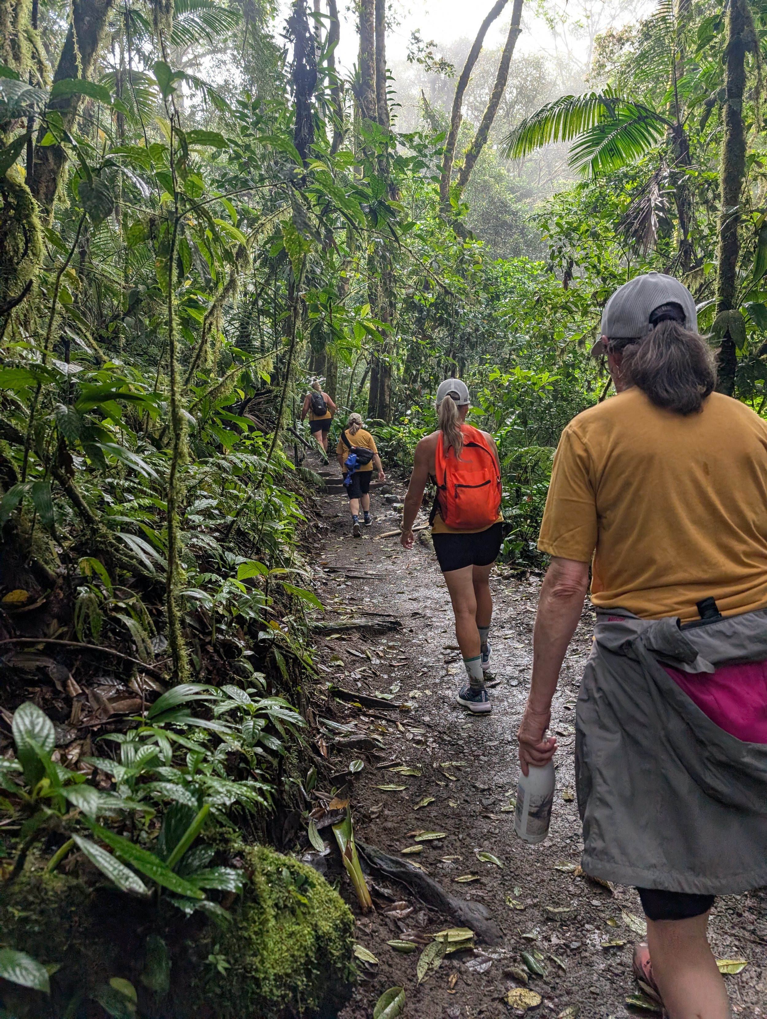 Women hiking in the Costa Rica jungle