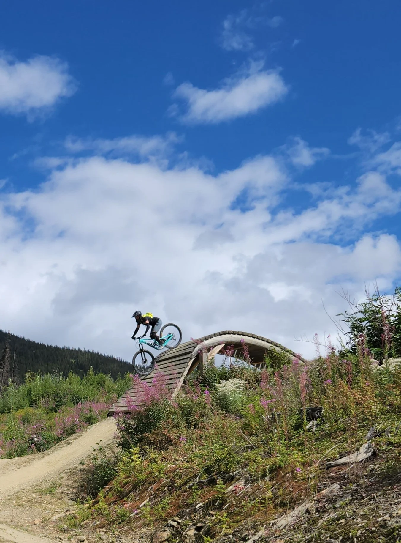 Valemount bike park features — Women's MTB Retreat