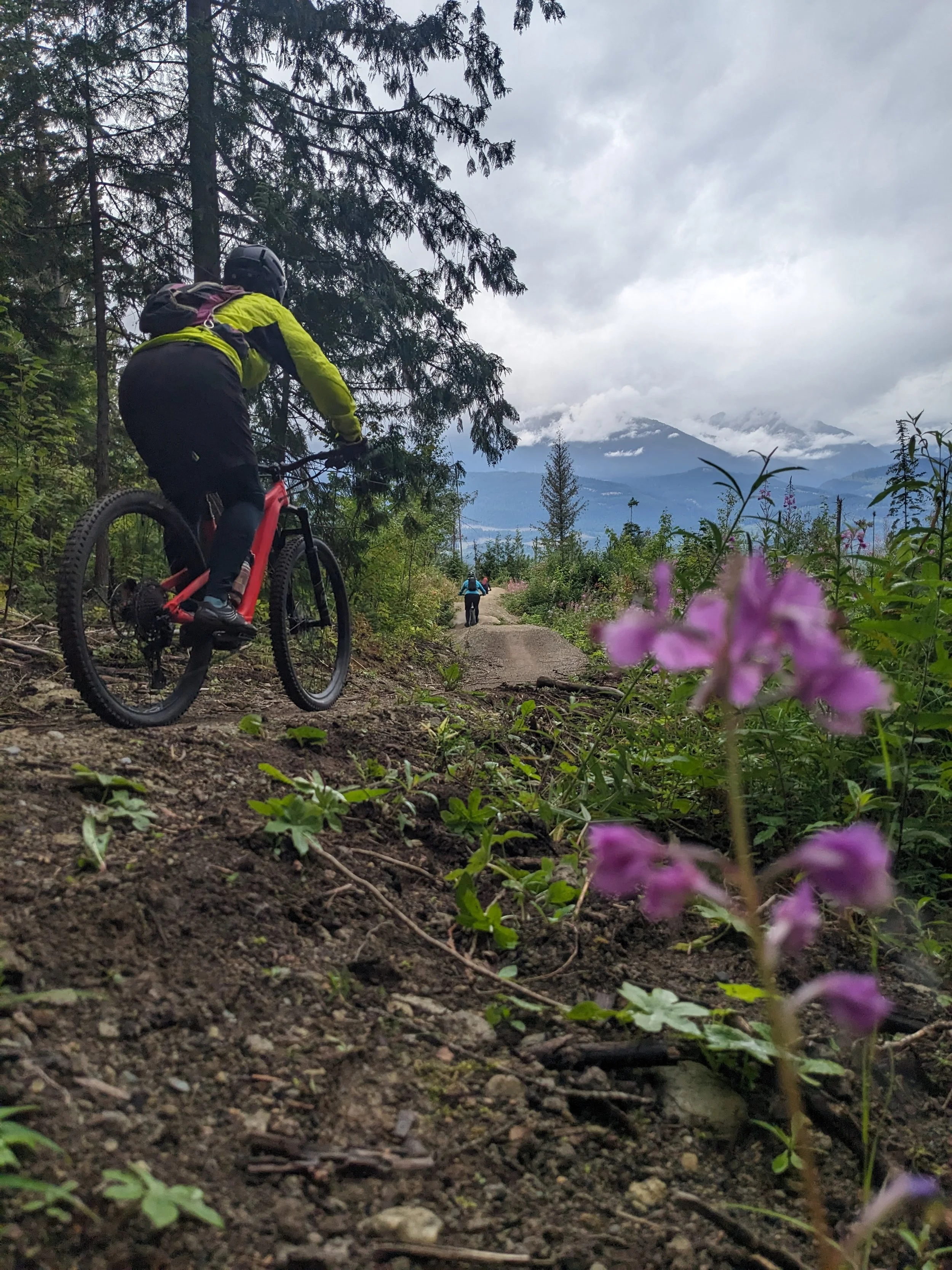 Valemount mountain bike trail with mountain views