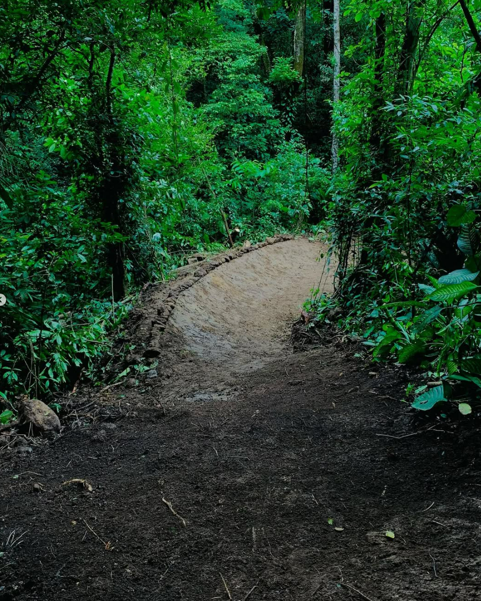 Jungle singletrack trails in Costa Rica