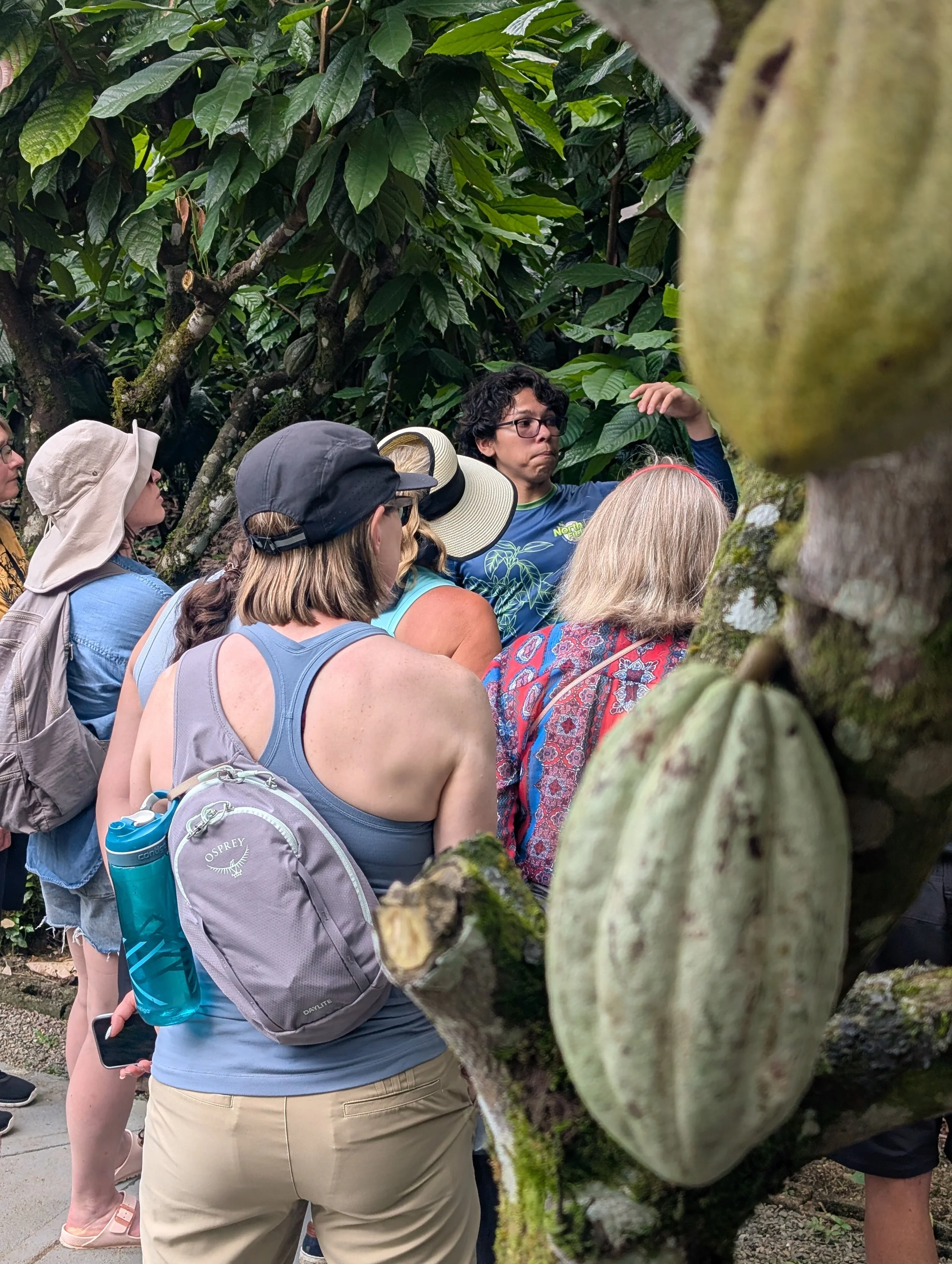 Cacao tour cultural experience