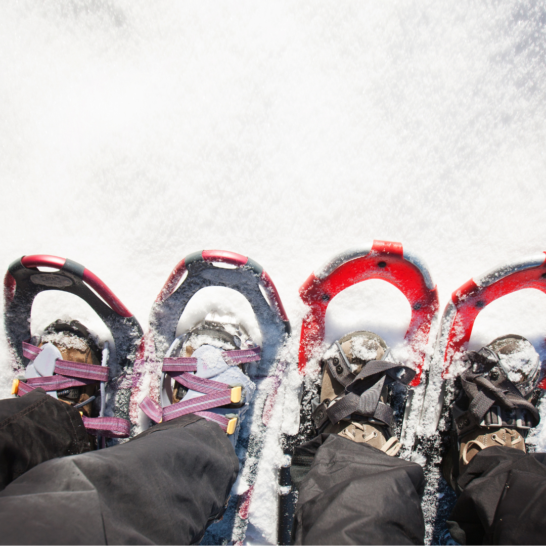 Winter adventure party