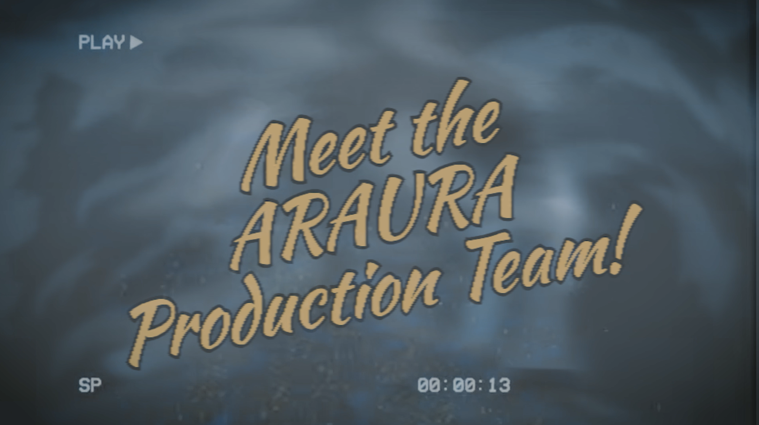 The Team and the VOICES of ARAURA