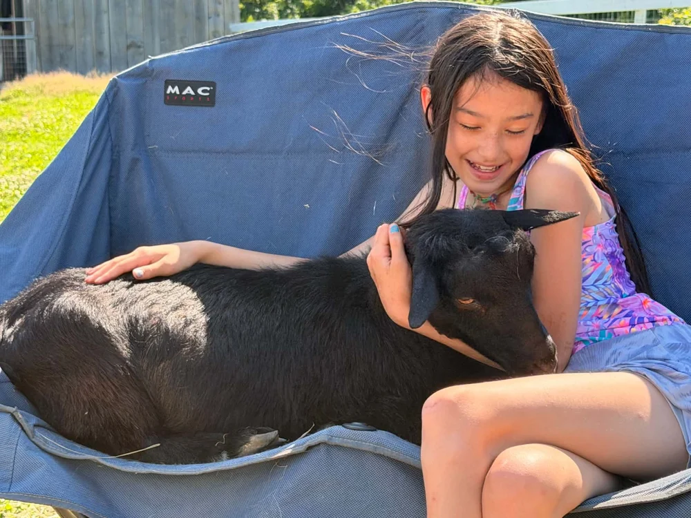 A child enjoying private goat time at Hidden Grace Farm