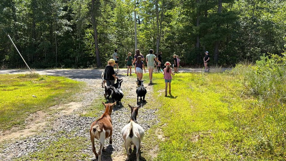 Guests walking with goats at Hidden Grace Farm