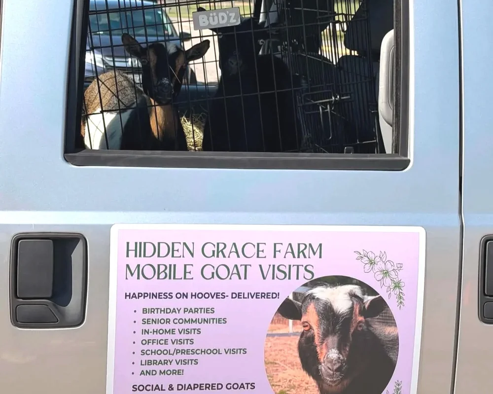 Hidden Grace Farm mobile goat visit