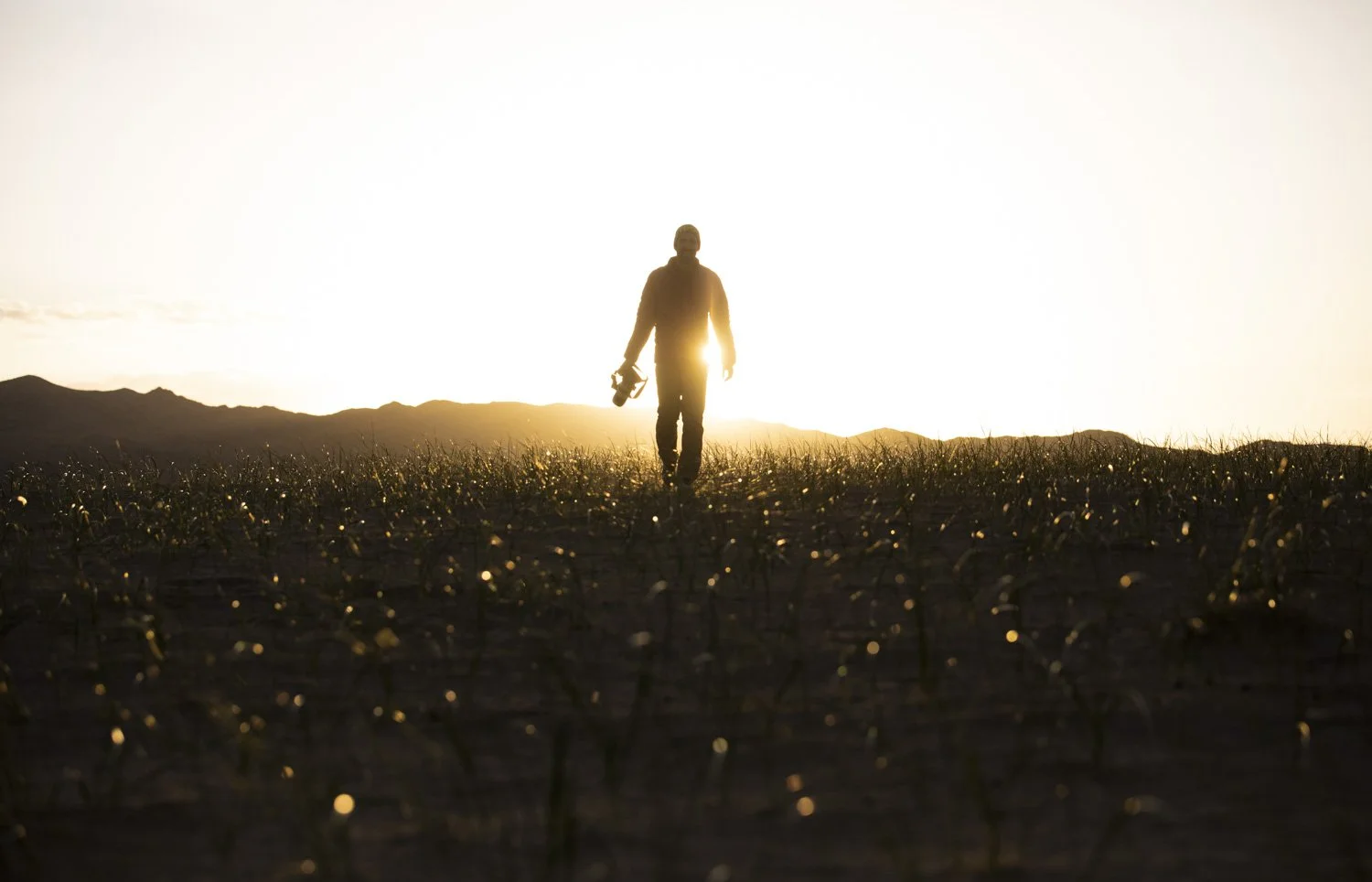 Virtual photography mentorship with Dave Brosha
