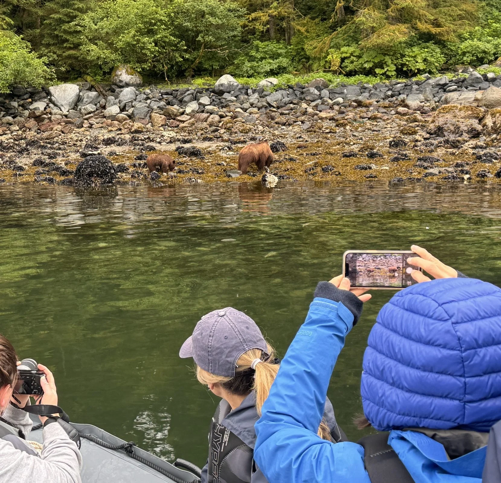 Alaska wildlife encountered on a voyage