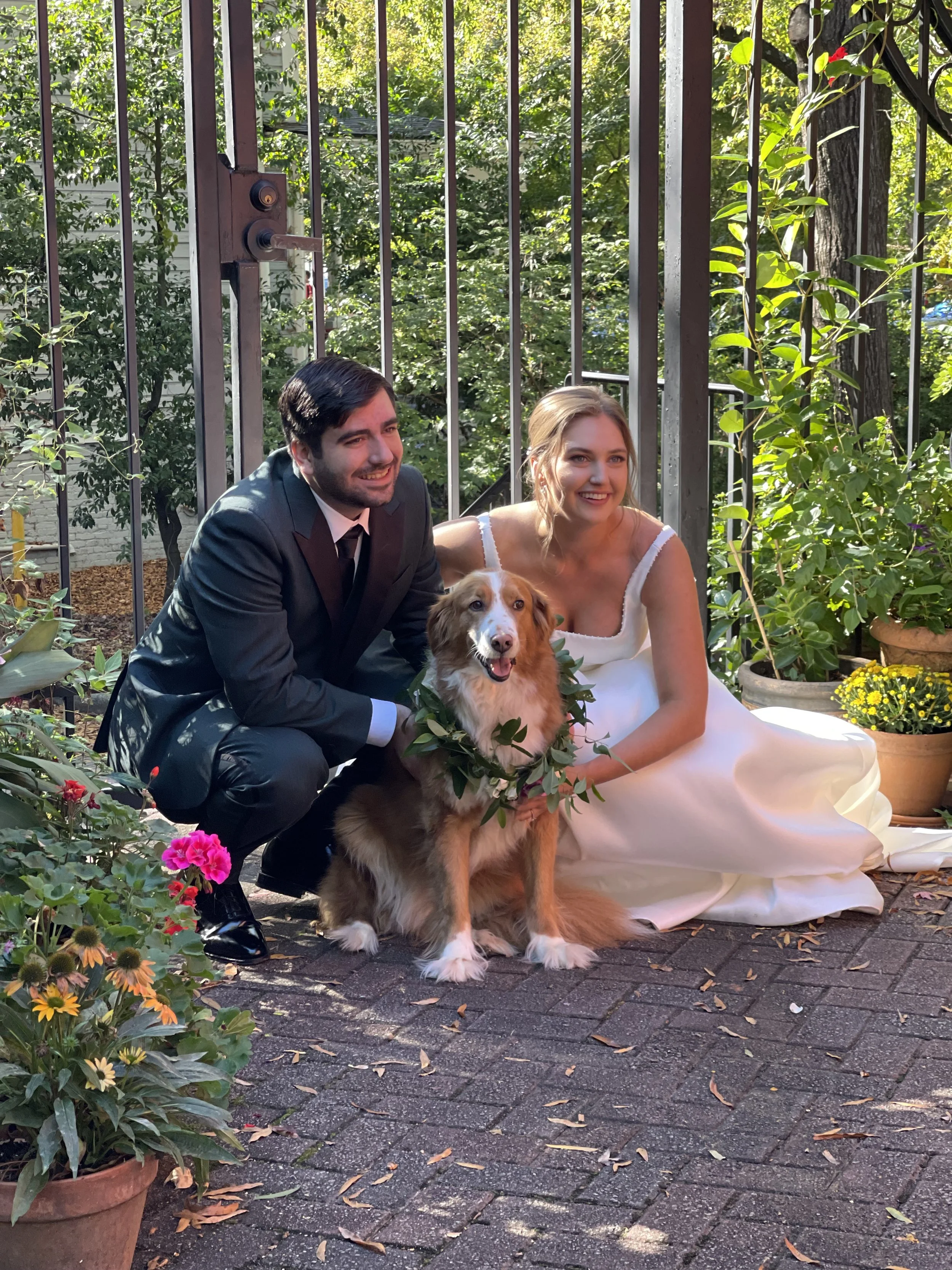 Atlanta pet concierge services, pet taxi, wedding dog attendant, premium pet care